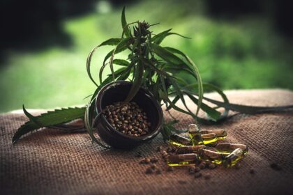 Kan cbd hjælpe mod eksamensangst? Videnskaben bag det grønne håb