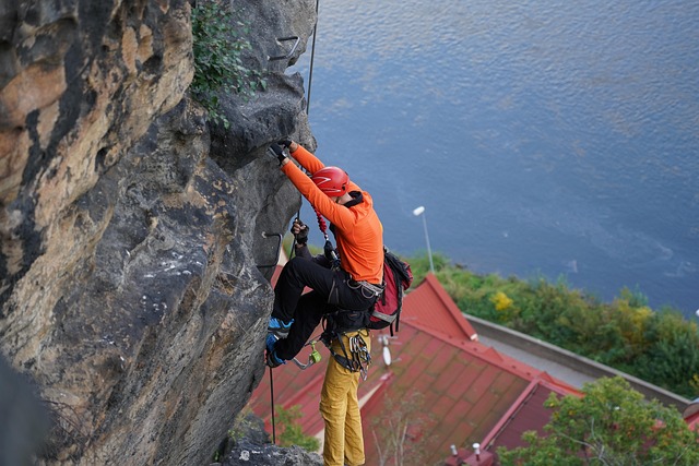 Selvrisiko eller ej? Fordele og ulemper ved lav kontra høj selvrisiko