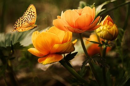 Sådan kan du skabe et blomstrende hjem med Bloomingvilles kunstige blomster